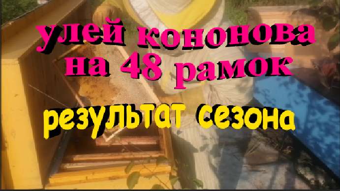 Улей Кононова на 48 рамок. Отбор мёда. Результат сезона. смотреть онлайн