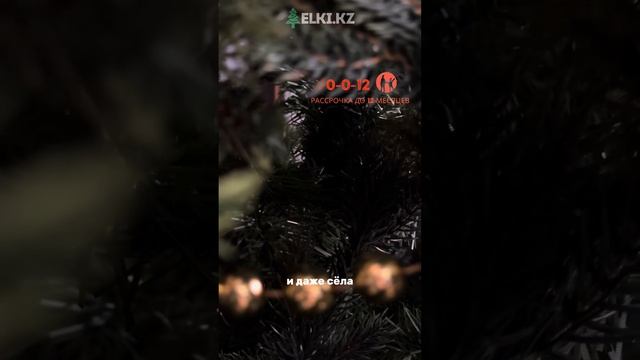 Обзор | Искусственная ель «Брено» люкс