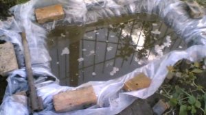 водоемы в саду для разведения рыб своими руками