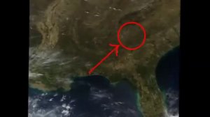 клубничный слон