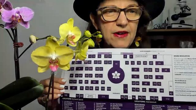 Lo que rencontré hoy en el Festival Internacional de Orquídeas Tamaiami en Miami es oro puro #359 смотреть онлайн