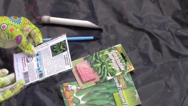 Еще один способ посадки огурцов на пленке. смотреть онлайн