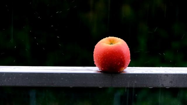 Звук Дождя и Грома. Для Сна и Релаксации. Rain Sound with Thunder. For Sleep and Relaxation смотреть онлайн
