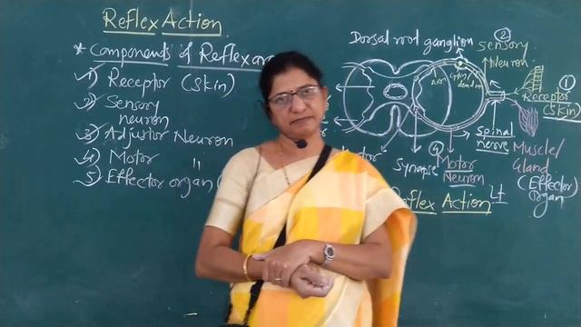 Reflex action смотреть онлайн