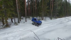 Гусеничная ока