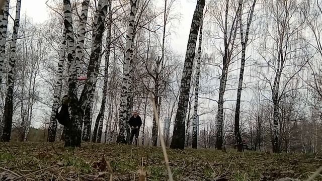 Throwing a ball with a sling in the park. A difficult target. Метание пращой в березовом лесу смотреть онлайн