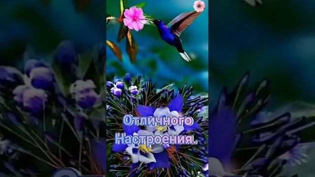 С Днём Рождения! Самое Красивое Поздравление! смотреть онлайн