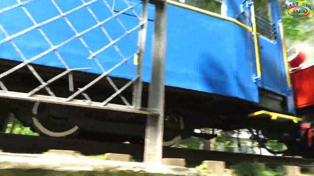 Викторина учим цвета и машинки. Логика для детей про транспорт смотреть онлайн