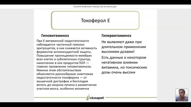 07.07.2020 Все про витамины для собак и щенков. Рассчитываем дозы. Подбираем комплексы. Илья Исаев смотреть онлайн