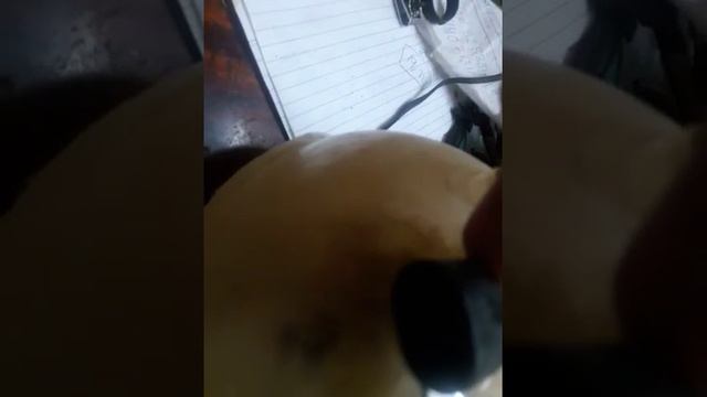 How To Change Coolant Level Sensor. Vectra C, Astra H