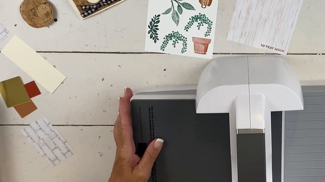 FUN Fold: Show Off The Great Stamps In 1 Set~ Succulent Plant Stand! смотреть онлайн