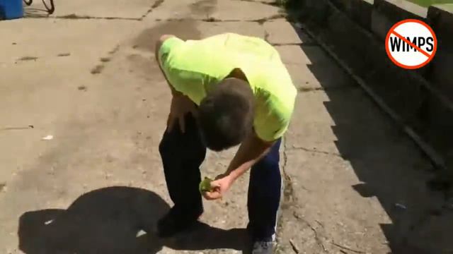 Driving a nail thru 2 1x4s and a pan, One hand tennis ball tear смотреть онлайн