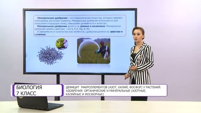 Биология. 7 класс. Дефицит макроэлементов (азот, калий, фосфор) у растений смотреть онлайн