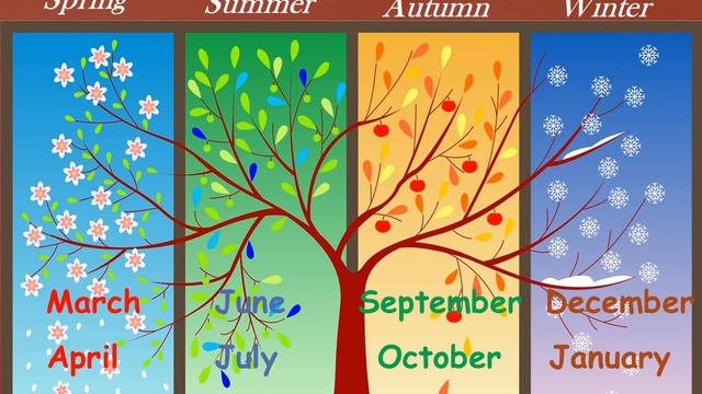 seasons and weather grade 5 смотреть онлайн