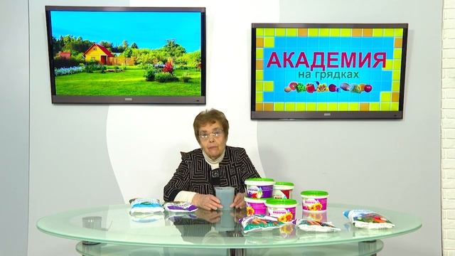 Питание рассады - вопрос серьезный. Без помощи "Буйских удобрений" тут не обойтись! смотреть онлайн