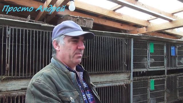 РАЗВЕДЕНИЕ НУТРИЙ С НУЛЯ С ЧЕГО НАЧАТЬ смотреть онлайн