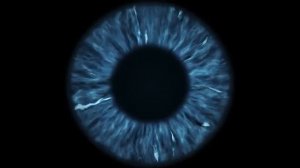 Самая Лучшая Матрица Гаряева и Настрой Сытина Восстановление Зрения