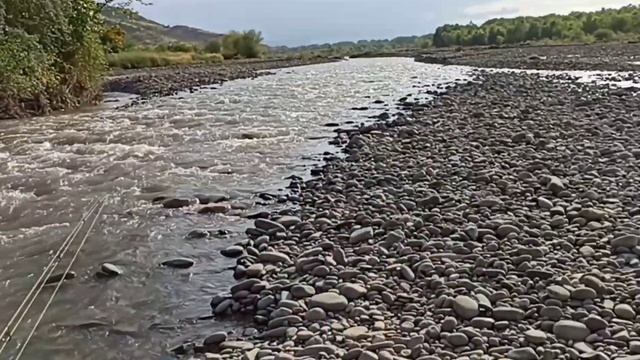 Техника для ловли усача в ямах на течения.Рыбалка смотреть онлайн
