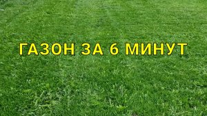 как посадить газон с нуля, полностью в видео все этапы выращивания самосевного газона
