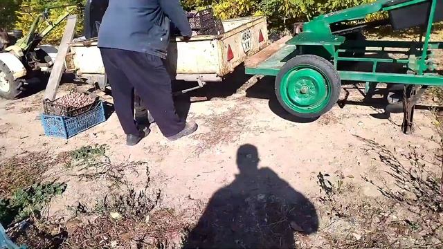 Посадка чеснока под трактор. Херсонская область 17 октября 2021 смотреть онлайн