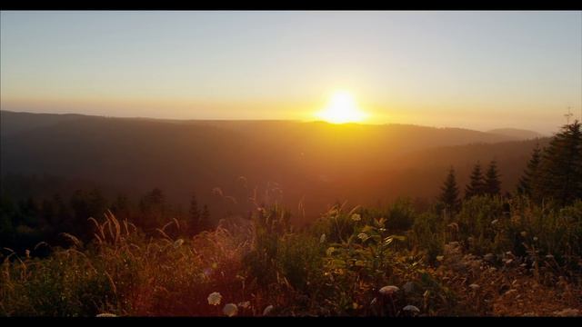 REDWOOD NATIONAL PARK IN 4K (Ultra HD)