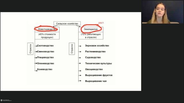 Онлайн-школа СПбГУ 2022/2023. 7 класс. География. 05.11.2022 смотреть онлайн