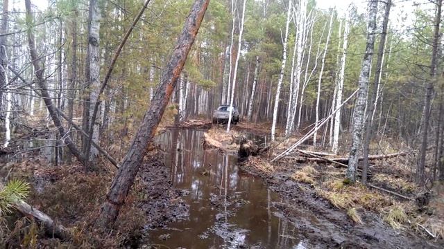 Поездка на лесные озёра в Шабрах. смотреть онлайн