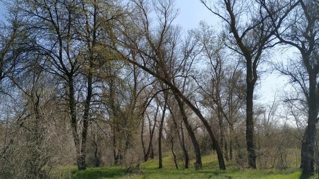 Великая Среда перед Пасхой. Что нужно обязательно сделать. Пасха 2021. Страстная Неделя. смотреть онлайн