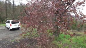 Путешествие в Сочи на Машине