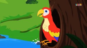 Birds Finger Family | Nursery Rhymes For Children