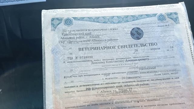 Пчелоприцеп (фаркоп, тормоз-наката, документы для качевки) смотреть онлайн