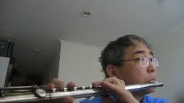 찬송가 Hymn - 326 장 - 죄짐에 눌린 사람은 - Pearl Nickel Flute смотреть онлайн