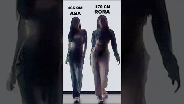 BABYMONSTER MEMBERS HEIGHT смотреть онлайн