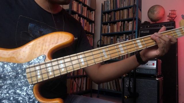 Albert Hammond Jr. - Power Hungry (Bass Cover) смотреть онлайн