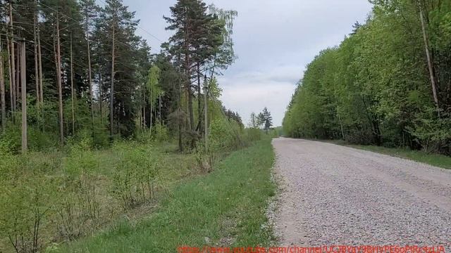 Незаконная вырубка леса(под дачные участки) между Бунырево и Карташево подтвердилась.13.05.2023. смотреть онлайн