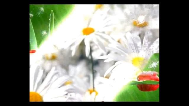 С днём рождения!! Альфия смотреть онлайн