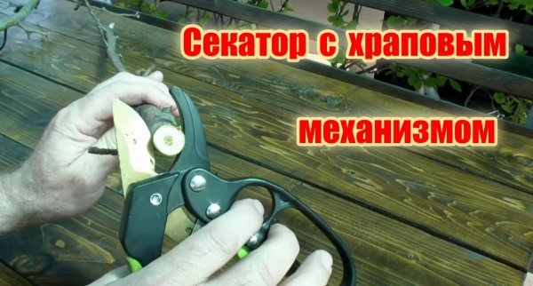 Секатор с храповым механизмом тест и обзор