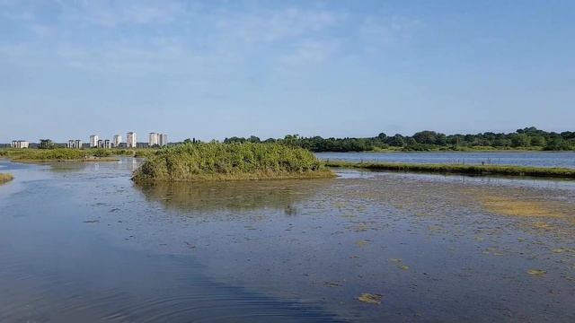 АБХАЗИЯ ? ПИЦУНДА ? ОЗЕРО ИНКИТ смотреть онлайн