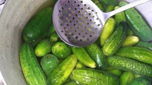 САМЫЙ ПРОСТОЙ СПОСОБ ЗАКАТКИ ОГУРЦОВ НА ЗИМУ. «БЛАНШИРОВАННЫЕ ОГУРЦЫ»