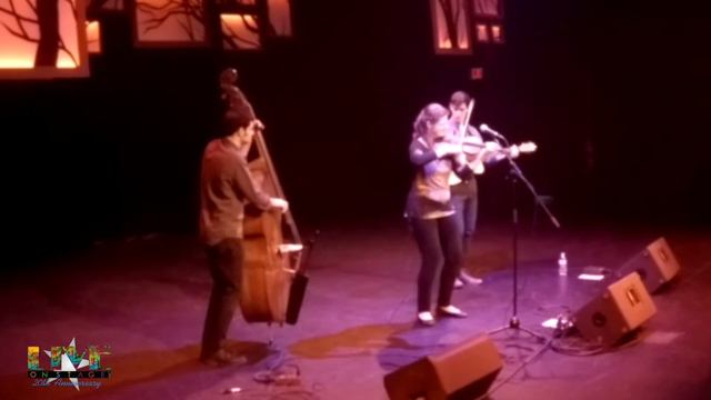 Mari Black Trio - Live On Stage 2023-2024 смотреть онлайн