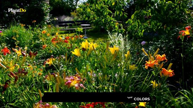 February Gardening: 7 Perennials That Will Make You The Envy Of Your Neighborhood 🌻🌼