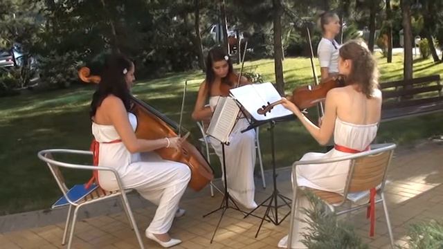 Doce Vita - Mozart_Divertimento D_Presto