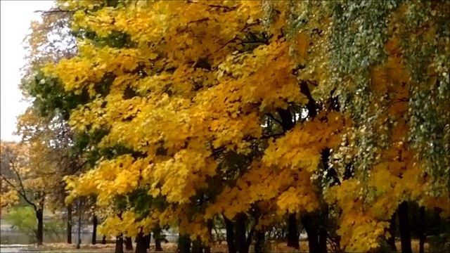 ОСЕННЯЯ смотреть онлайн