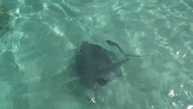 Antigua And Barbuda. Антигуа и Барбуда