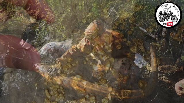 Якутский нож из небесного металла смотреть онлайн