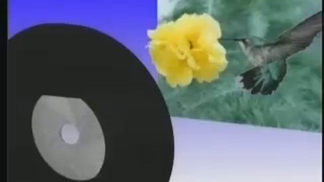 nikon coolpix 8800 смотреть онлайн