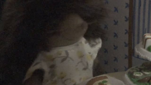 ОБЫЧНЫЙ ДЕНЬ СЕМЬИ ЁЖИКОВ | stop-motion sylvanian families смотреть онлайн