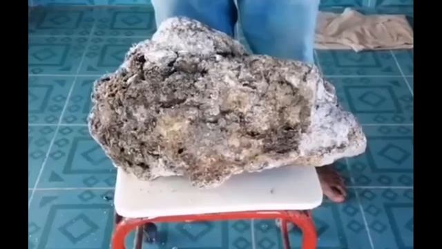 500 ТЫСЯЧ. ДОЛЛАРОВ ЗА НАХОДКУ НА БЕРЕГУ МОРЯ. А Я ПРОШЕЛ МИМО. НЕ ЗНАЛ ЧТО ТАКОЕ АМБРА. смотреть онлайн
