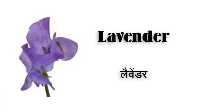 100 Flower Names In English And Hindi | 100 फूलों के नाम अंग्रेजी और हिंदी में