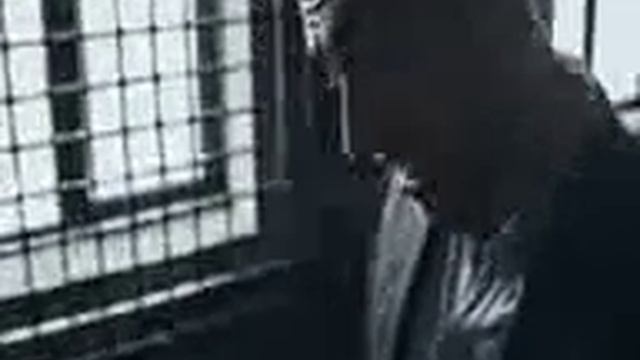 Тони Раут & Гарри Топор - Квантовый скачек смотреть онлайн